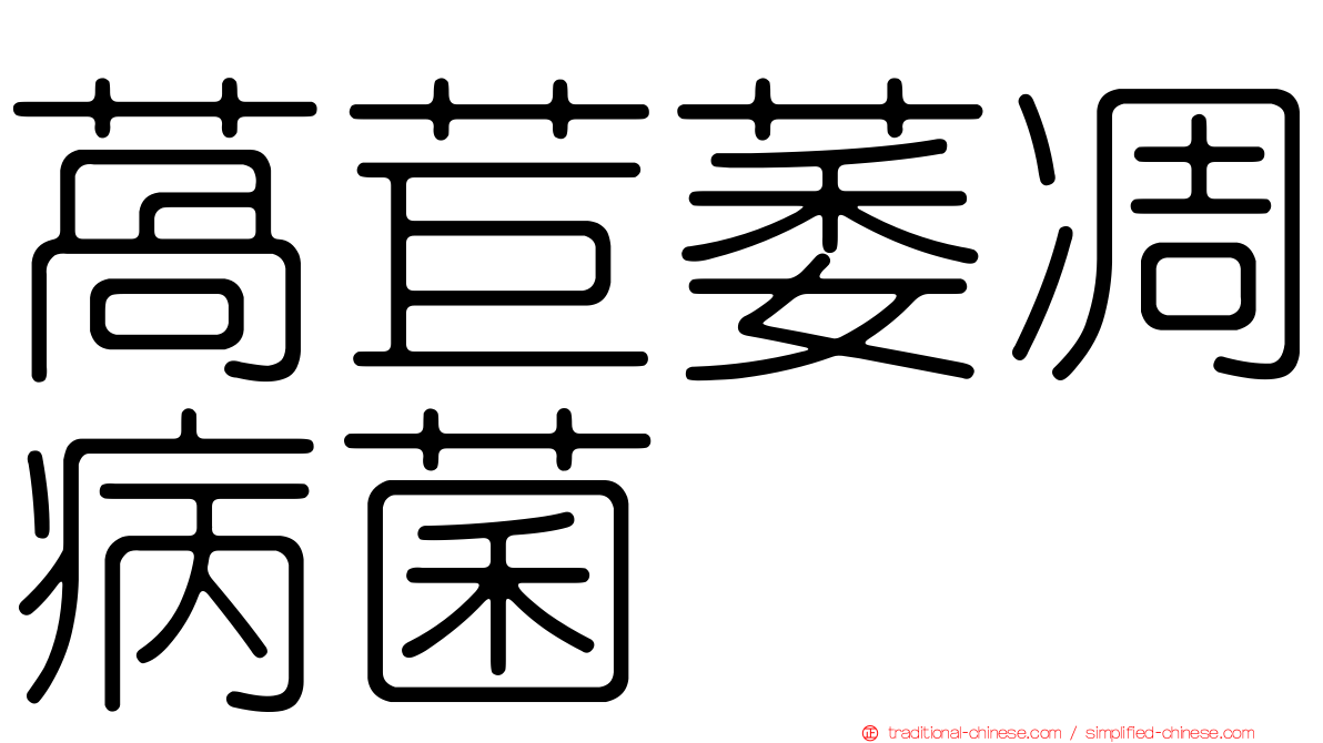 萵苣萎凋病菌