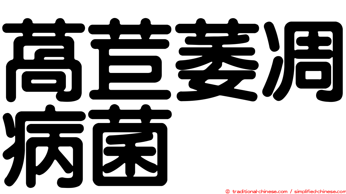 萵苣萎凋病菌
