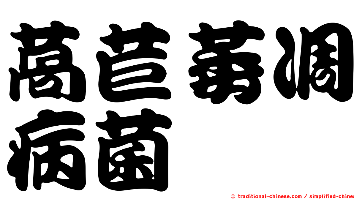 萵苣萎凋病菌