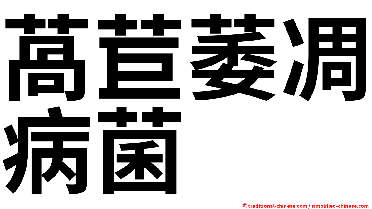 萵苣萎凋病菌