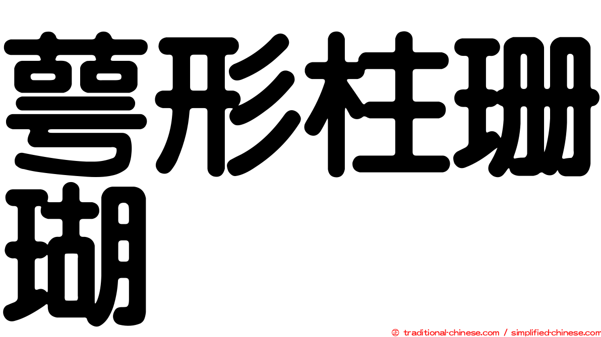 萼形柱珊瑚