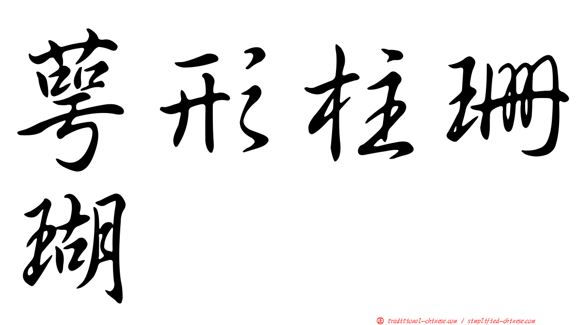 萼形柱珊瑚