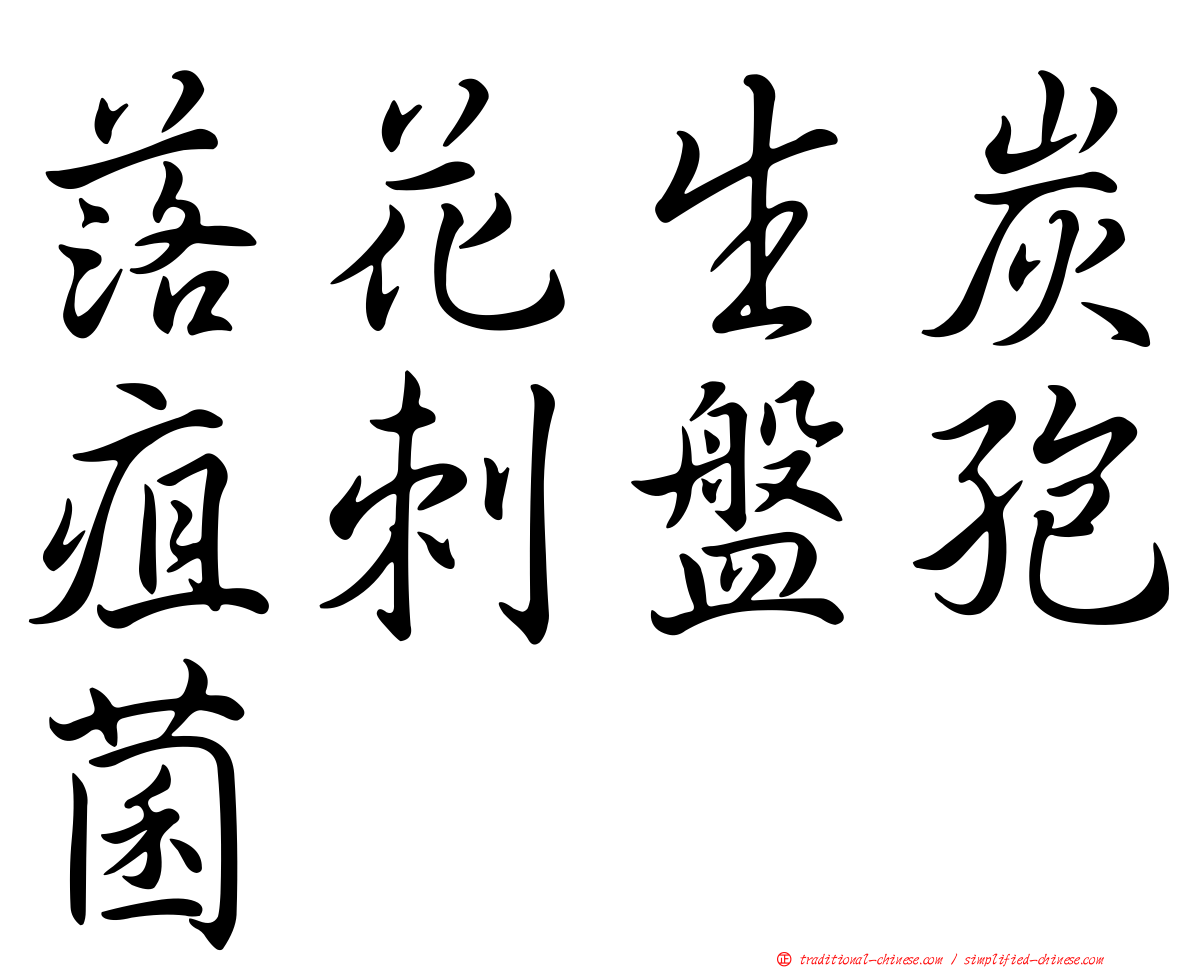 落花生炭疽刺盤孢菌