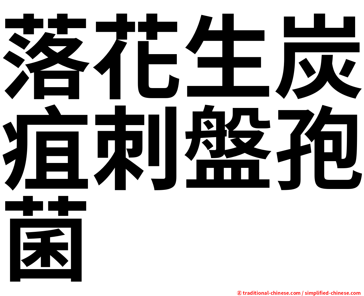 落花生炭疽刺盤孢菌