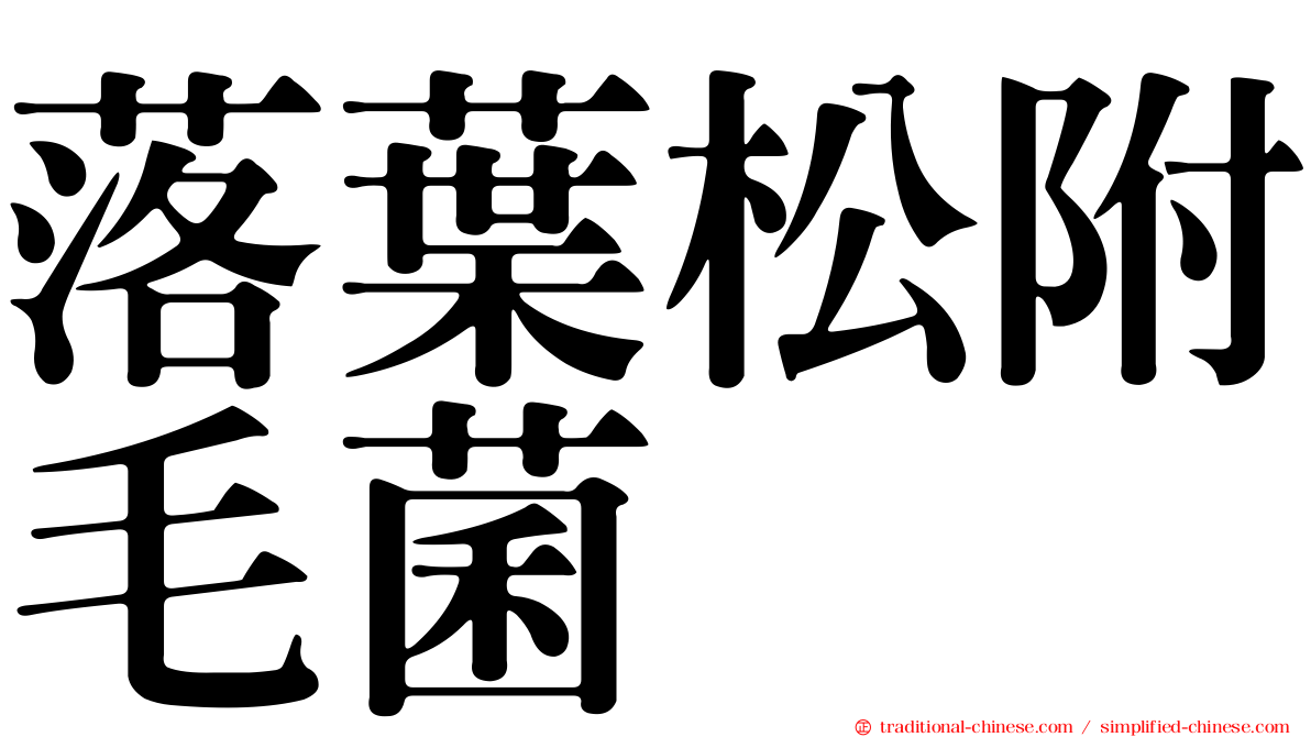落葉松附毛菌