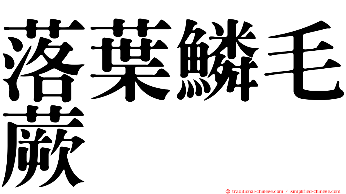 落葉鱗毛蕨
