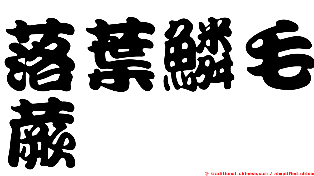 落葉鱗毛蕨
