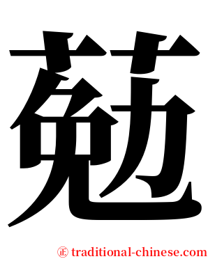 葂 serif font