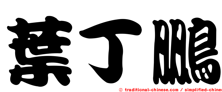 葉丁鵬