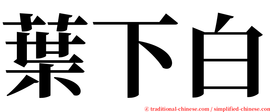 葉下白 serif font