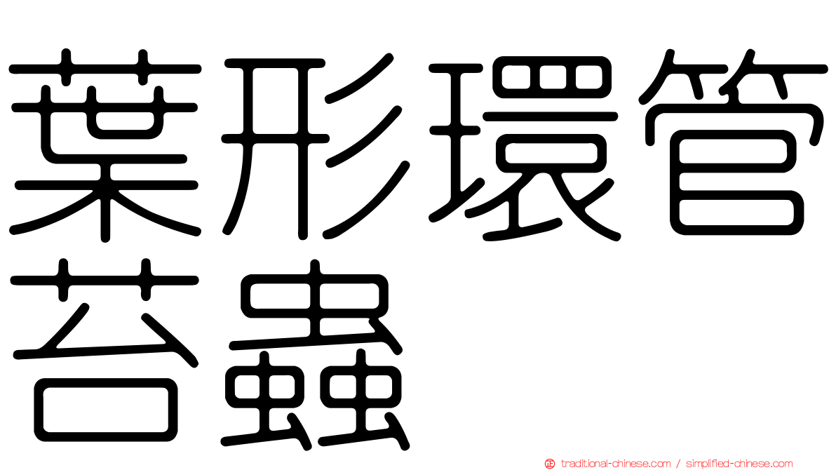 葉形環管苔蟲