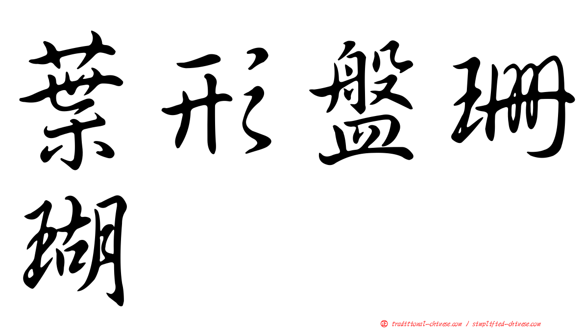 葉形盤珊瑚