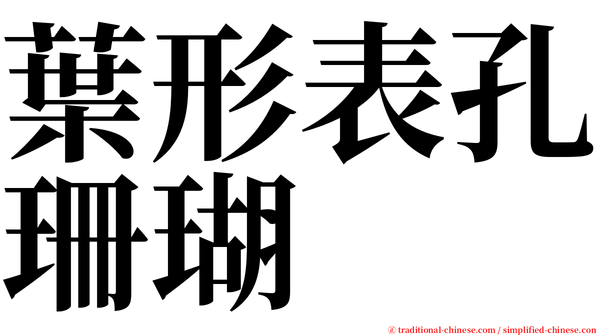 葉形表孔珊瑚 serif font
