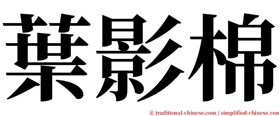 葉影棉 serif font