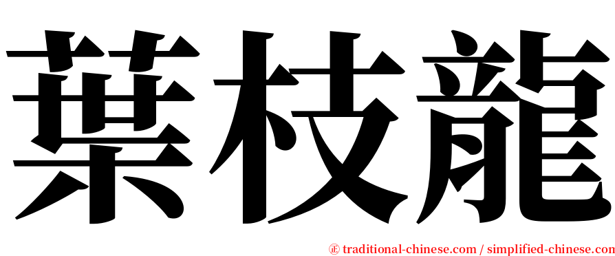 葉枝龍 serif font