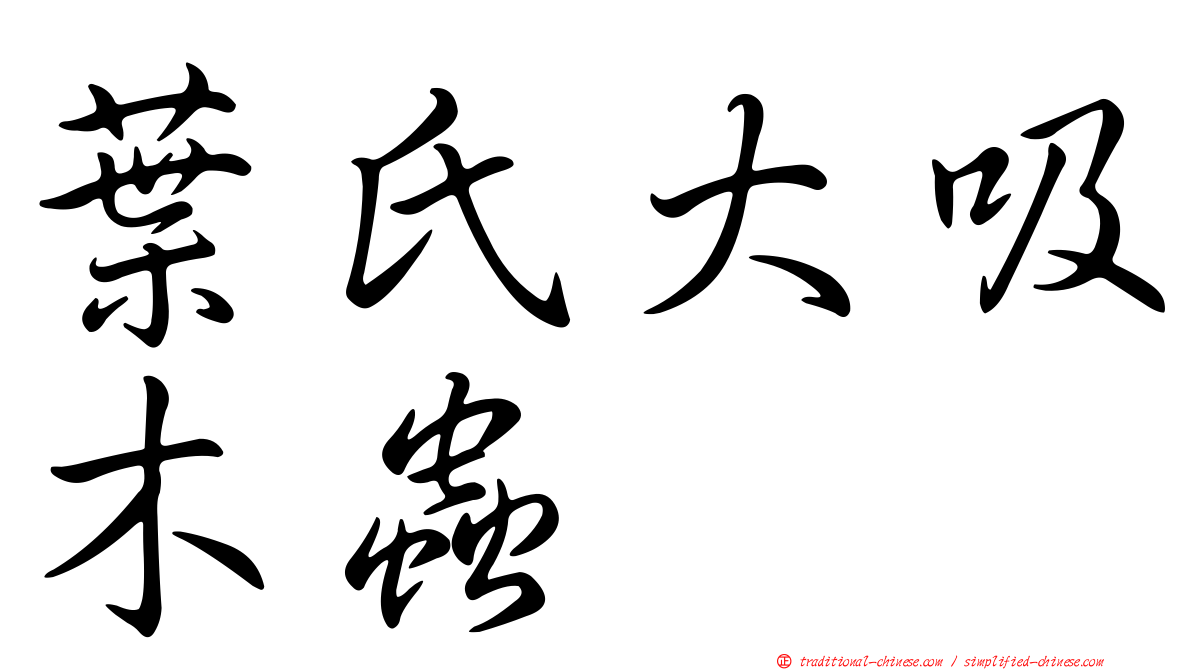葉氏大吸木蟲