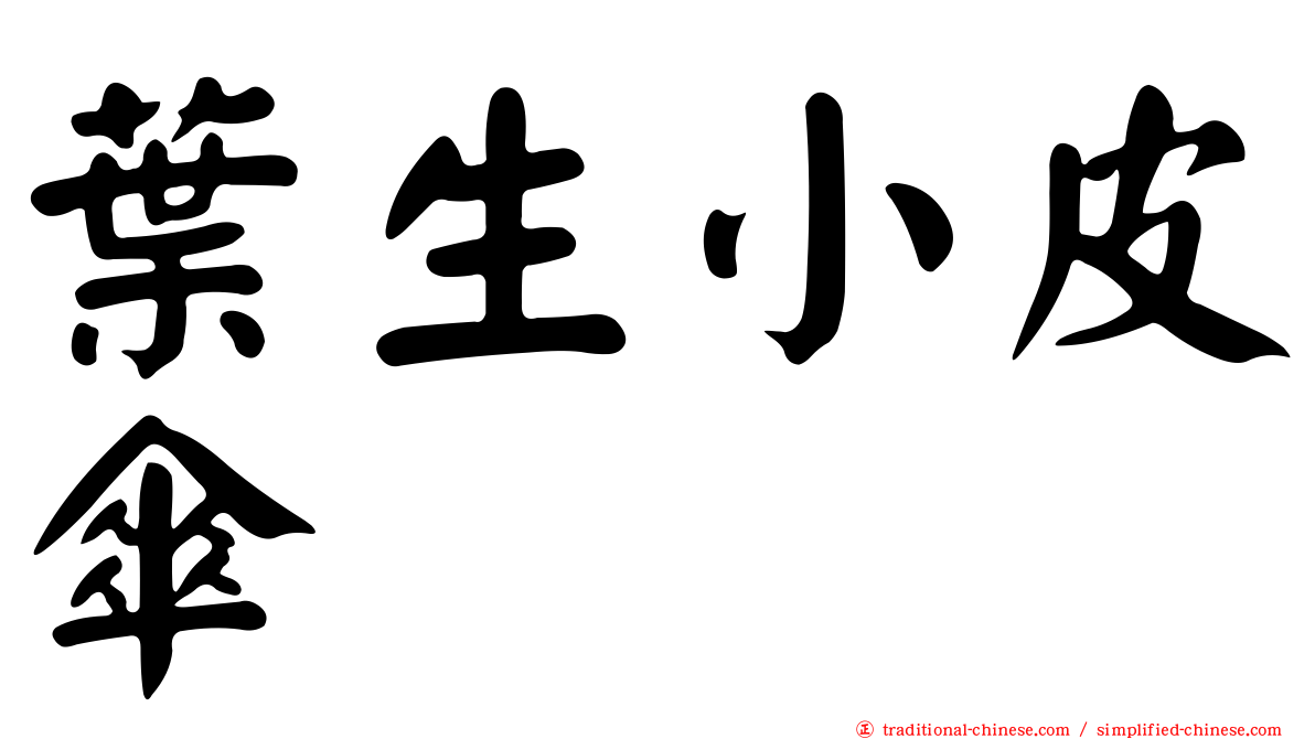 葉生小皮傘