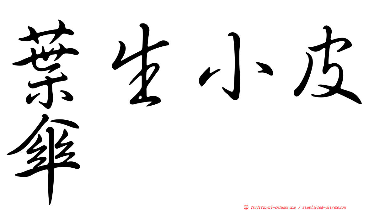 葉生小皮傘