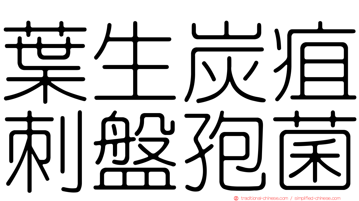 葉生炭疽刺盤孢菌