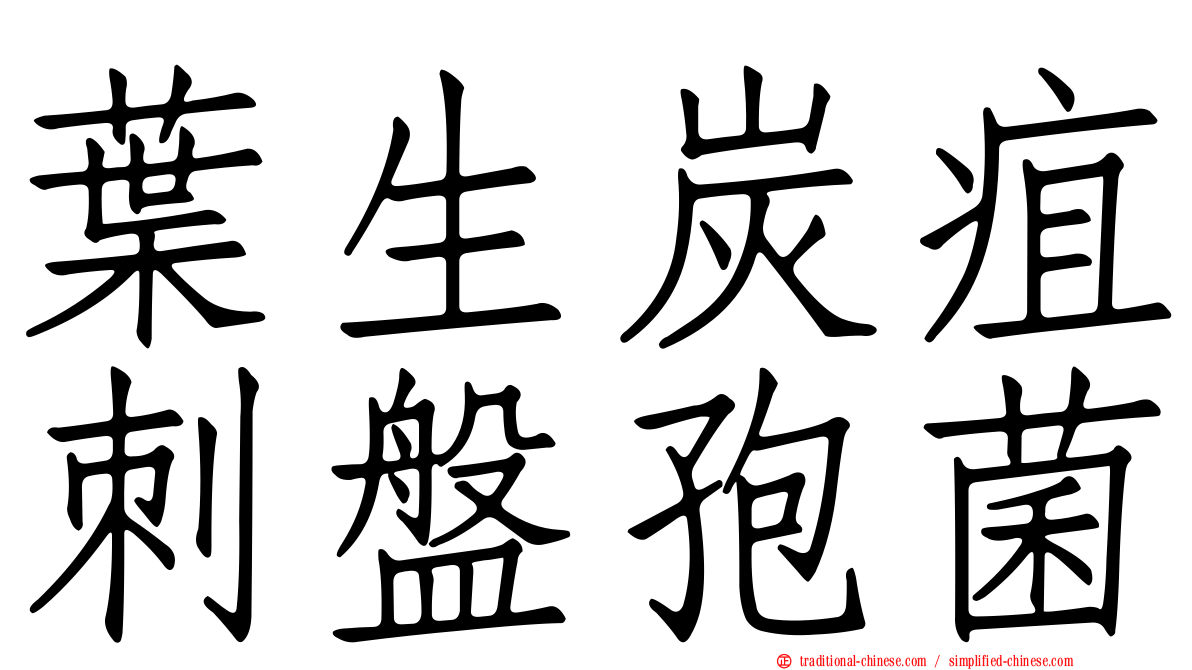 葉生炭疽刺盤孢菌