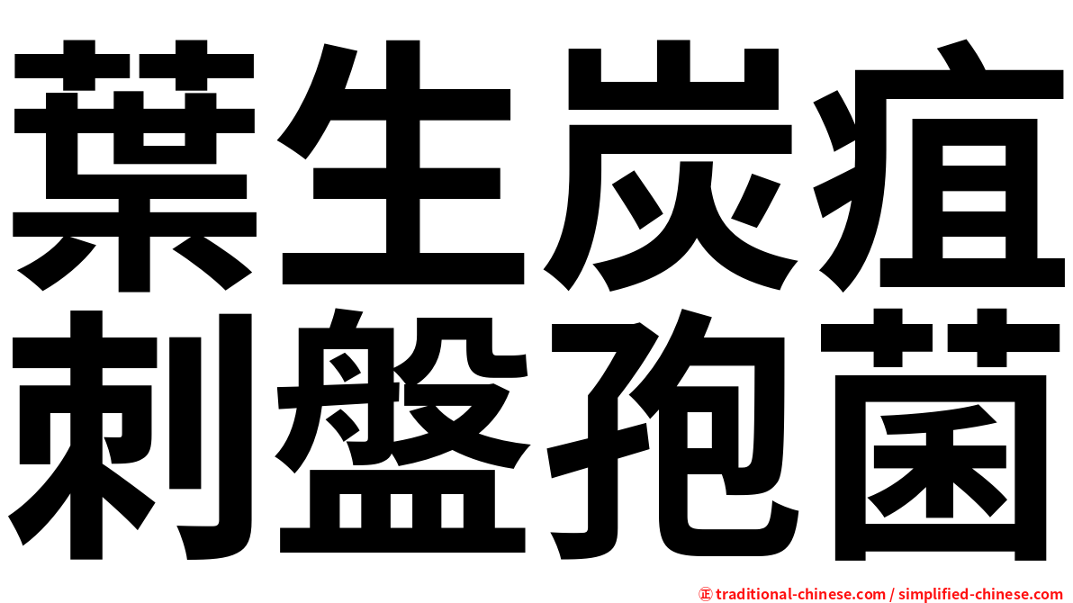 葉生炭疽刺盤孢菌