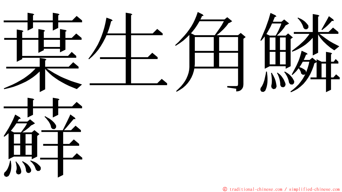 葉生角鱗蘚 ming font