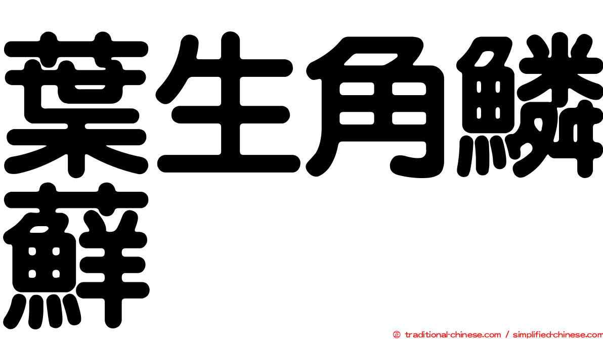 葉生角鱗蘚