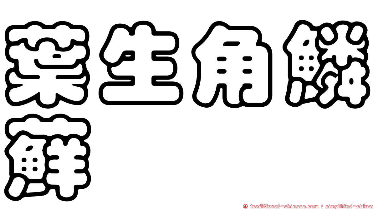 葉生角鱗蘚