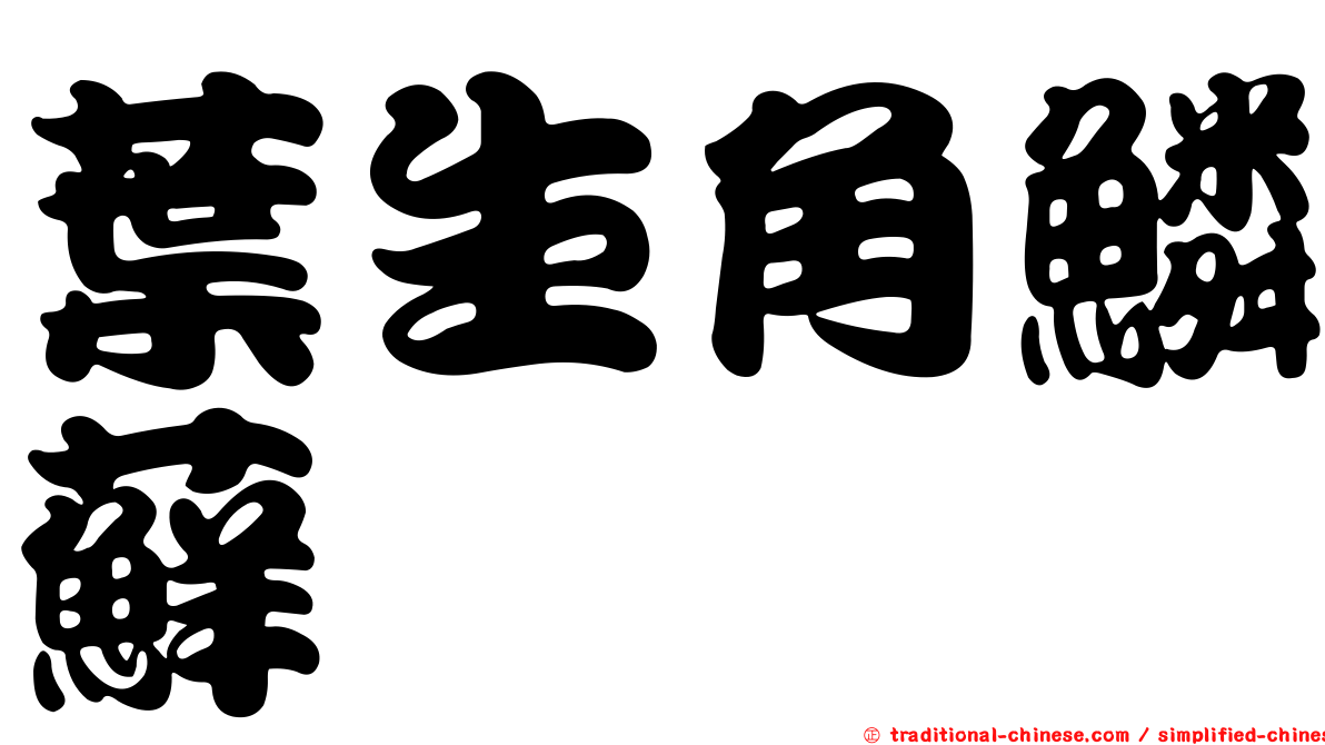 葉生角鱗蘚
