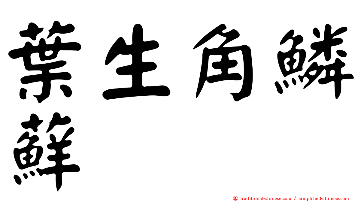 葉生角鱗蘚