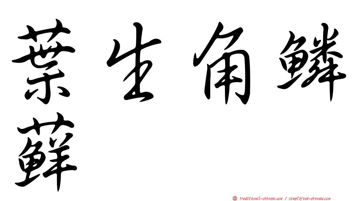 葉生角鱗蘚