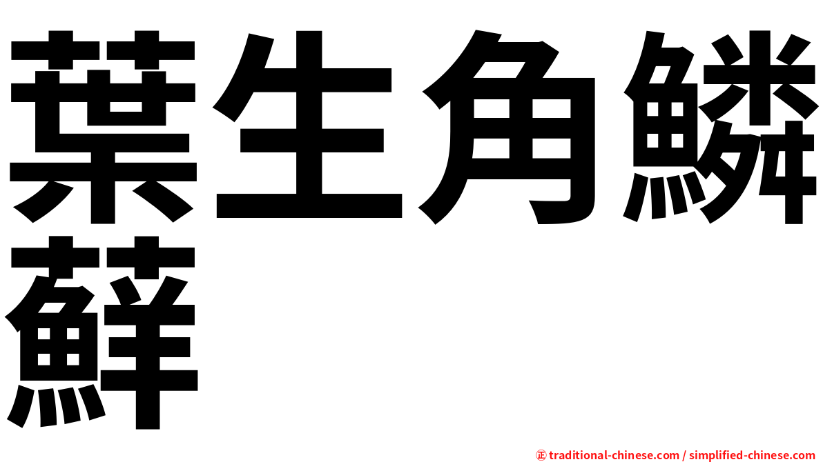 葉生角鱗蘚