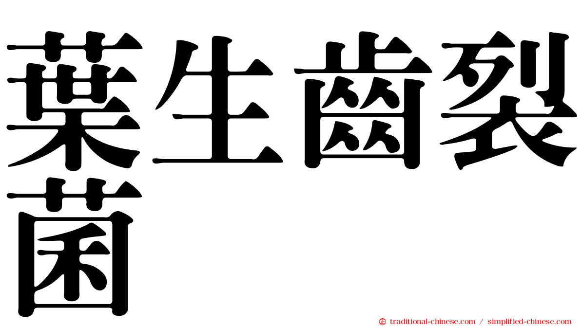 葉生齒裂菌