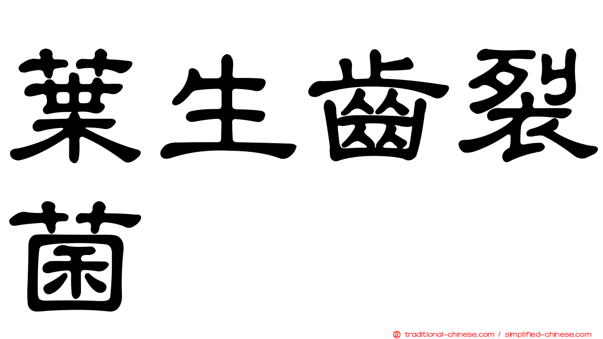 葉生齒裂菌