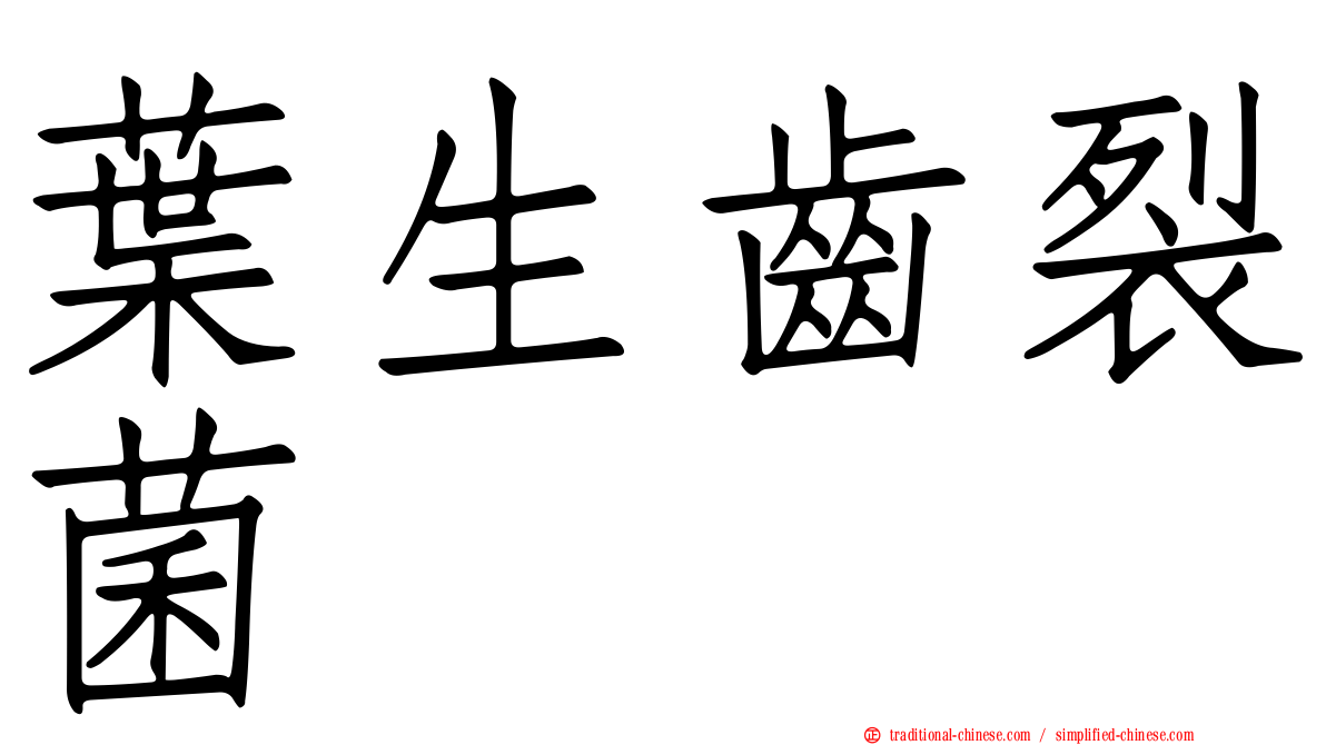 葉生齒裂菌