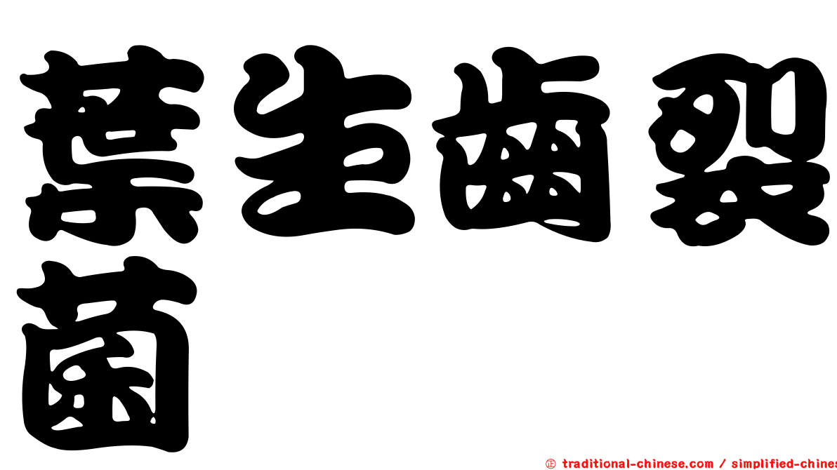 葉生齒裂菌