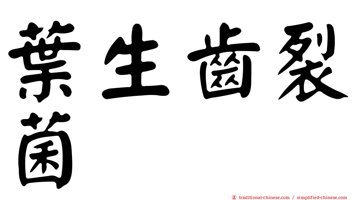 葉生齒裂菌