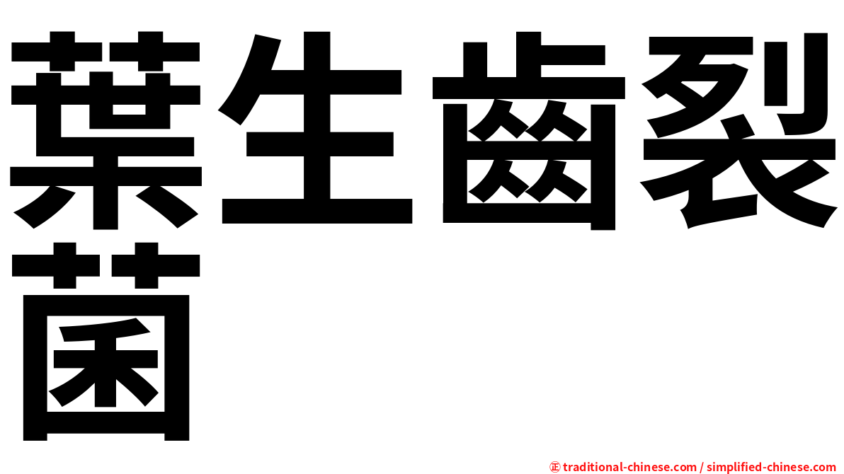 葉生齒裂菌