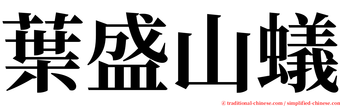 葉盛山蟻 serif font