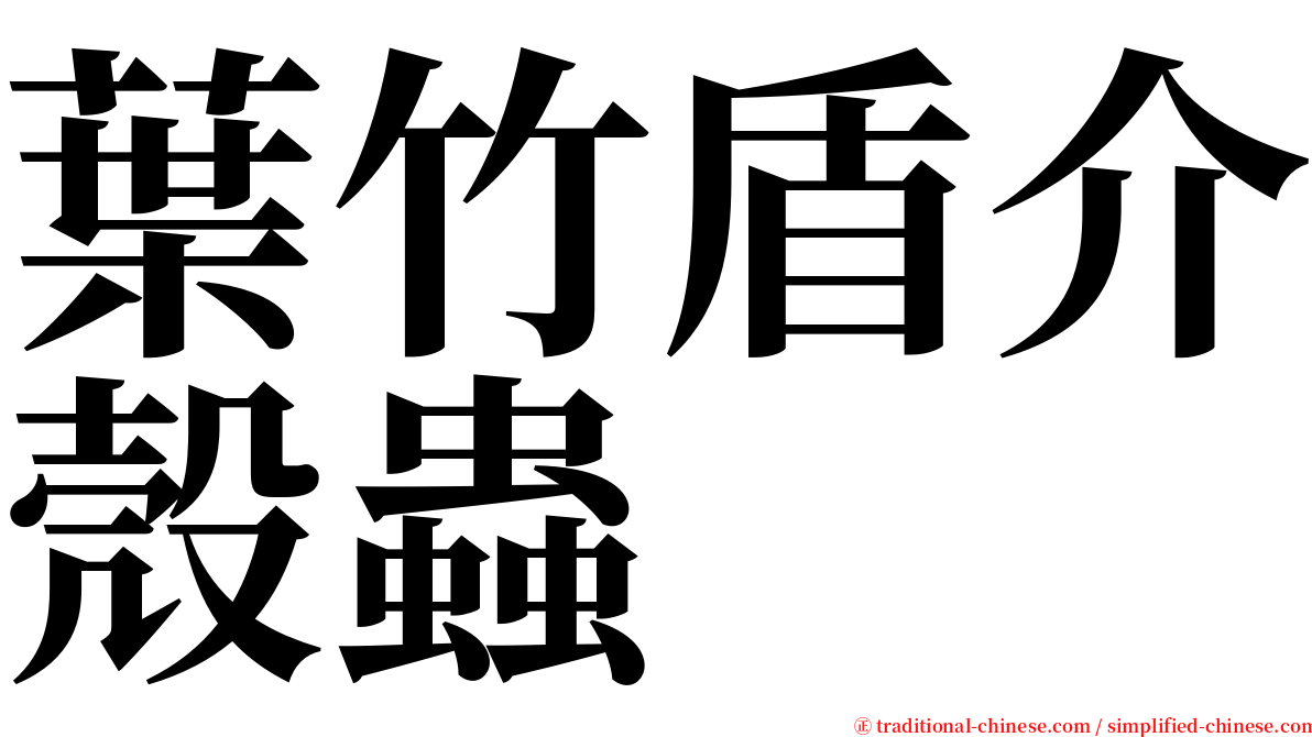 葉竹盾介殼蟲 serif font