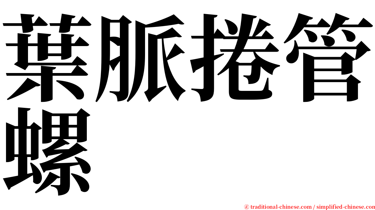 葉脈捲管螺 serif font