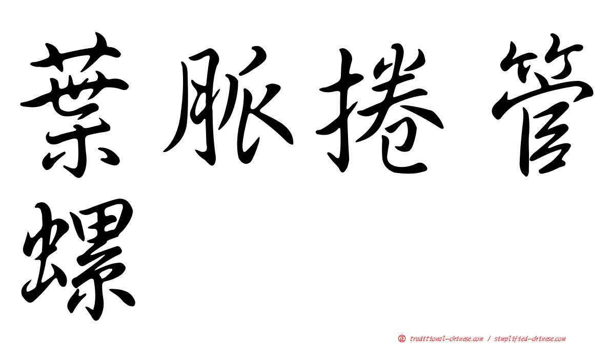 葉脈捲管螺