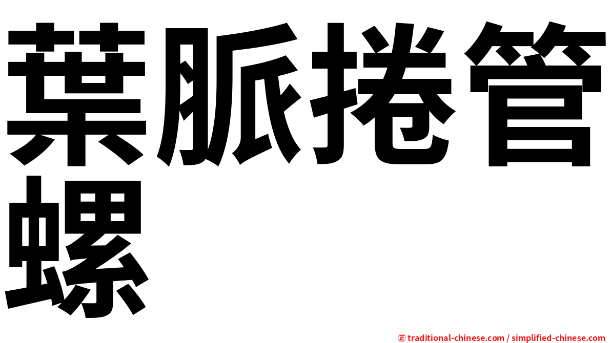 葉脈捲管螺
