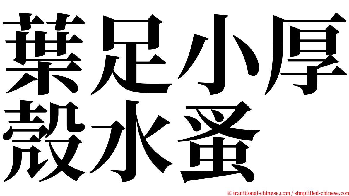 葉足小厚殼水蚤 serif font