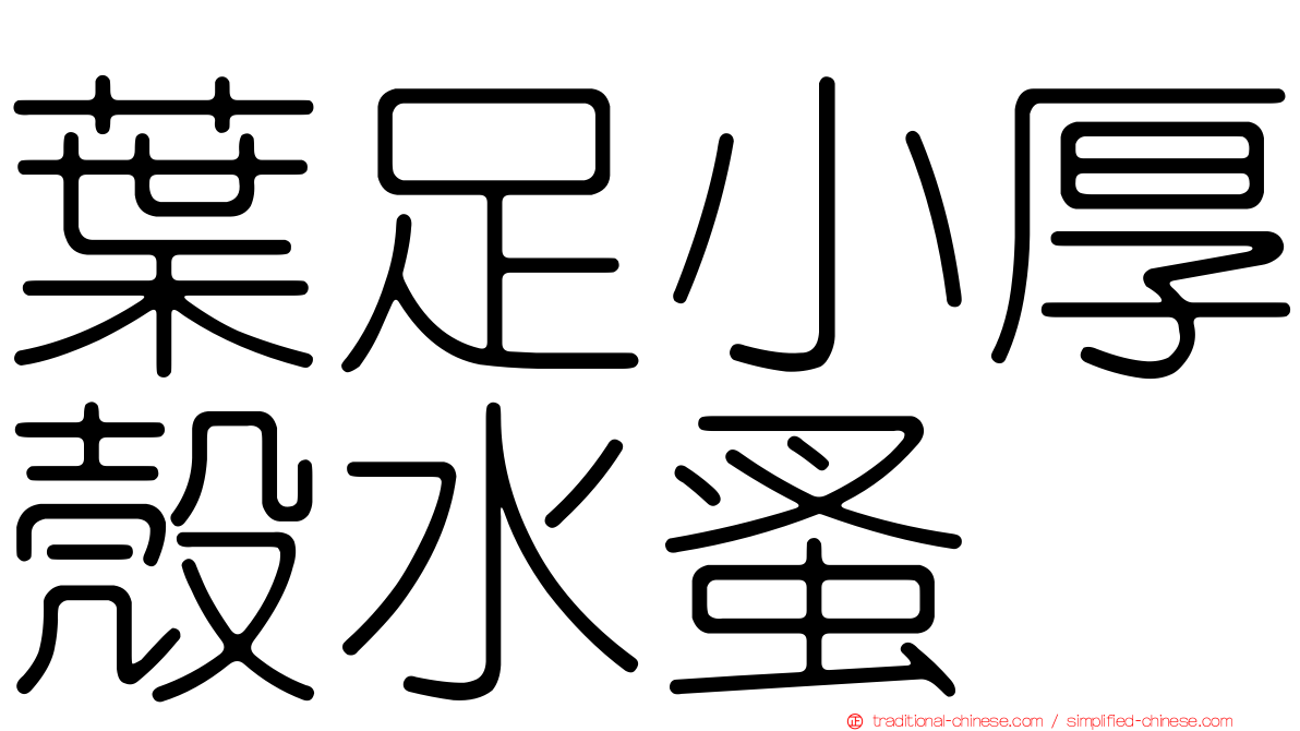 葉足小厚殼水蚤
