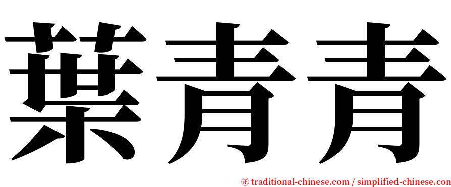葉青青 serif font