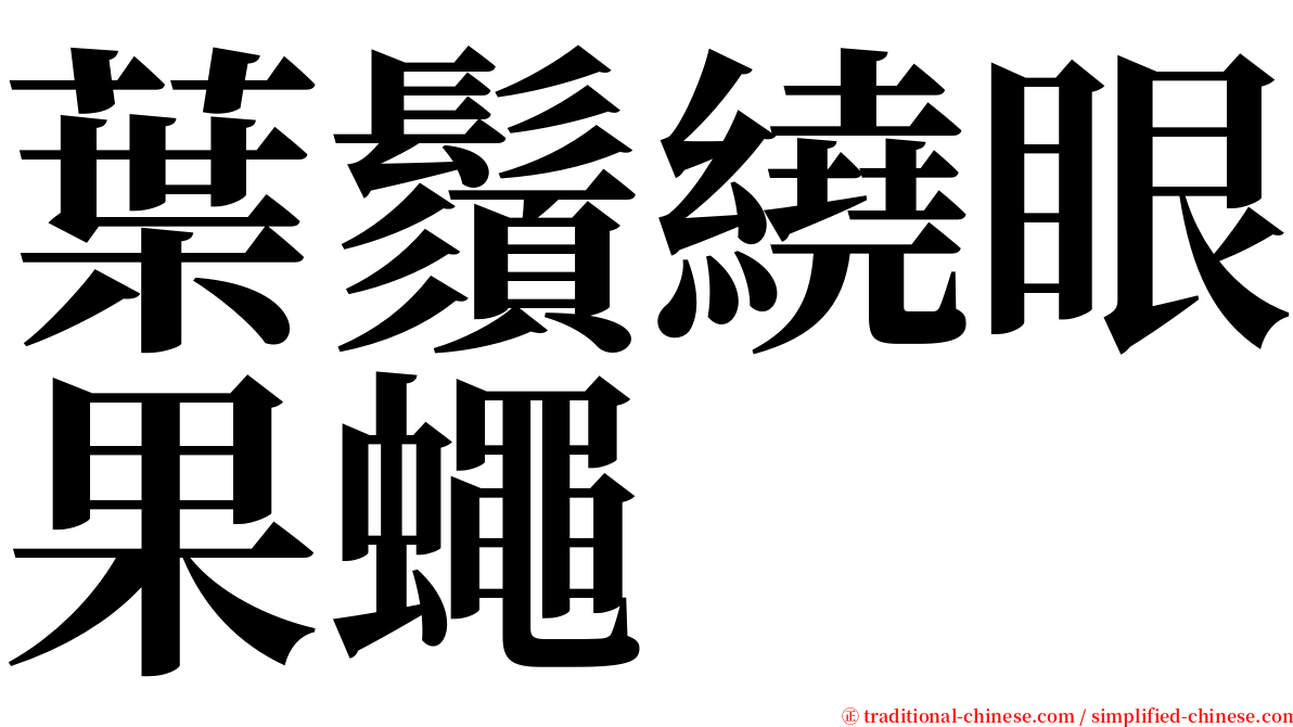 葉鬚繞眼果蠅 serif font