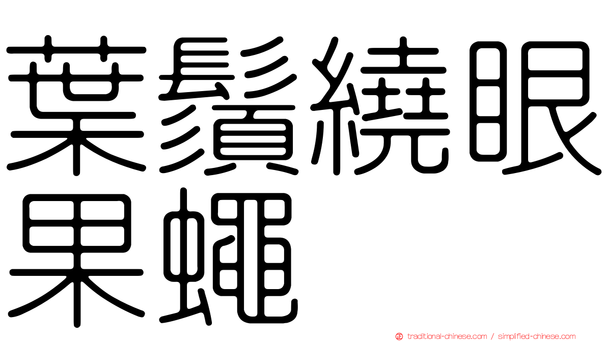 葉鬚繞眼果蠅