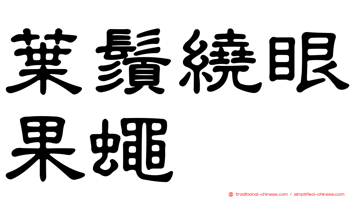 葉鬚繞眼果蠅