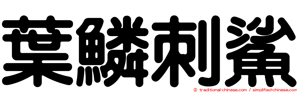 葉鱗刺鯊